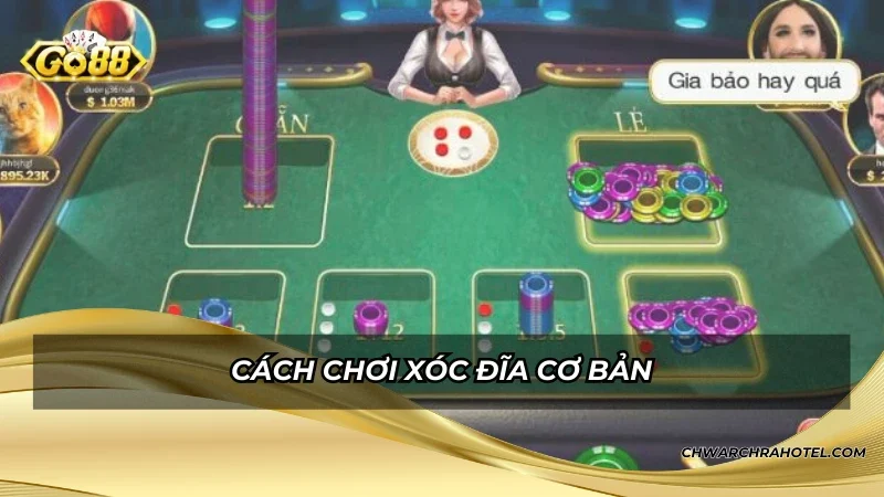 Cách chơi xóc đĩa cơ bản