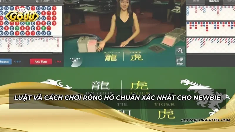 Luật và cách chơi rồng hổ chuẩn xác nhất cho newbie