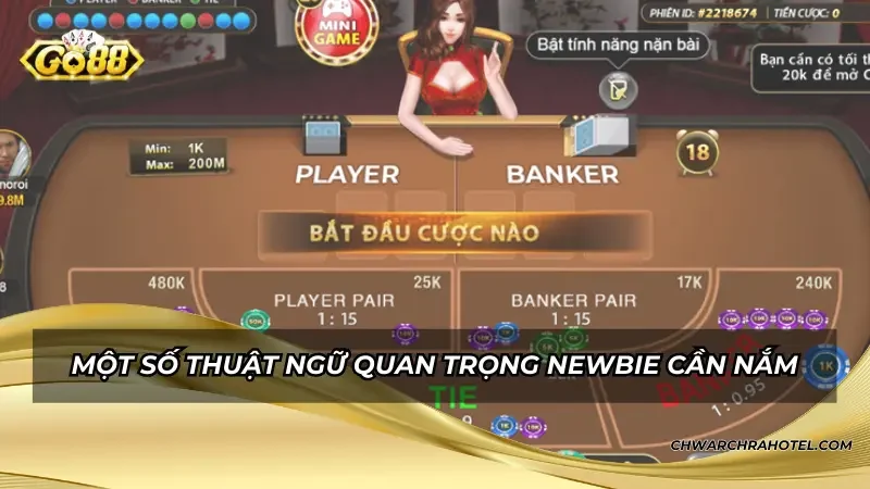 Một số thuật ngữ quan trọng newbie cần nắm