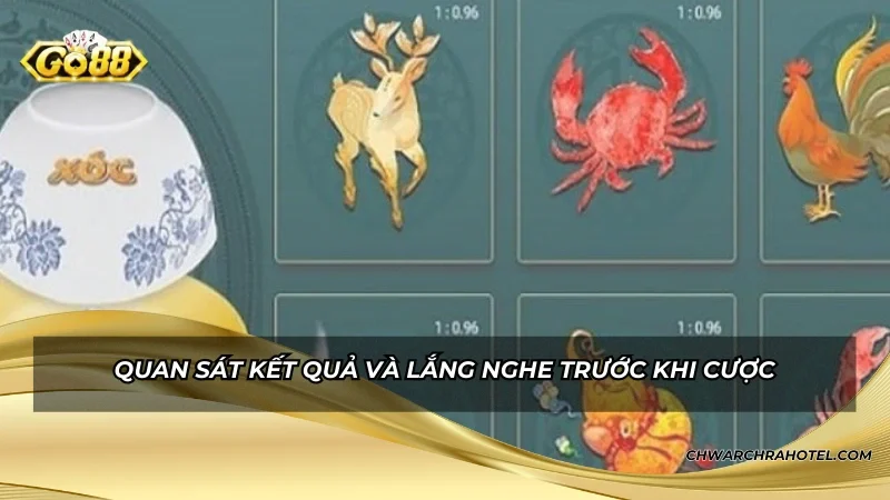 Quan sát kết quả và lắng nghe trước khi cược